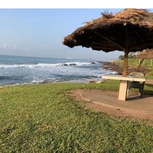 Meet your Posher, Ann